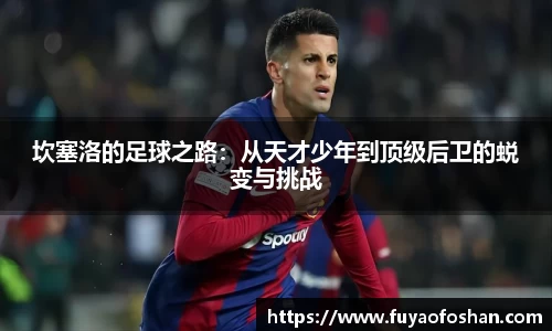 坎塞洛的足球之路：从天才少年到顶级后卫的蜕变与挑战
